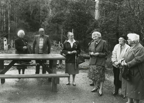 Shows a group of people standing near a wooden picnic bench listening to one of the ladies speak.