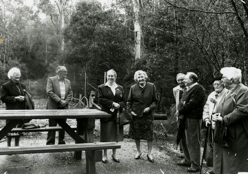 Shows a group of people standing near a wooden picnic bench listening to one of the ladies speak.