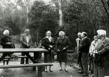 Shows a group of people standing near a wooden picnic bench listening to one of the ladies speak.