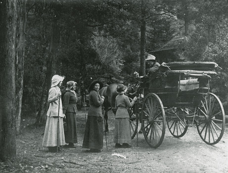 Shows a group of four women all holding walking sticks talking to the driver of a horse-drawn buggy. One of the women is looking at the camera. In the background can be seen the entrance gatehouse to "The Hermitage" at Narbethong in Victoria.
