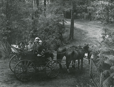 Shows s group of four women all sitting in a horse drawn buggy. The buggy is standing on a dirt road surrounded by bushland.