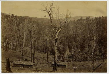 Shows a heavily forested valley with two timber buildings in the foreground. There are two men in the photograph. One is standing near the closest building whilst one is standing next to a large tree. In the right of the photograph can be seen a wooden picket fence line.