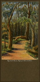 A watercolour painting of the Michael Dene walking track in Marysville in Victoria. The title of the painting is along the lower edge of the painting. Details of the artist and doner are on the reverse.