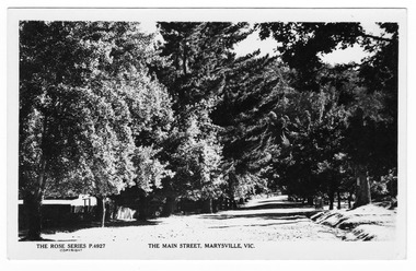 Shows the main street in Marysville in Victoria. Shows a street lined on both sides with large trees. In the foreground, on the left hand side, can be seen some wooden fencing. The title of the photograph is along the lower edge of the postcard. On the reverse of the postcard is a space to write a message and an address and to place a postage stamp. The postcard is unused.