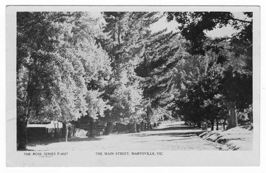 Shows the main street in Marysville in Victoria. Shows a street lined on both sides with large trees. In the foreground, on the left hand side, can be seen some wooden fencing. The title of the photograph is along the lower edge of the postcard. On the reverse is a hand-written message.