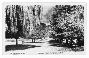 Shows Marysville's main street. Looking down the tree-lined main street, a horse is in the left of the photograph and a fence lined path is on right-hand side of photograph. The title of the photograph is along the lower edge of the postcard. On the reverse of the postcard is a space to write a message and an address and to place a postage stamp. The postcard is unused.