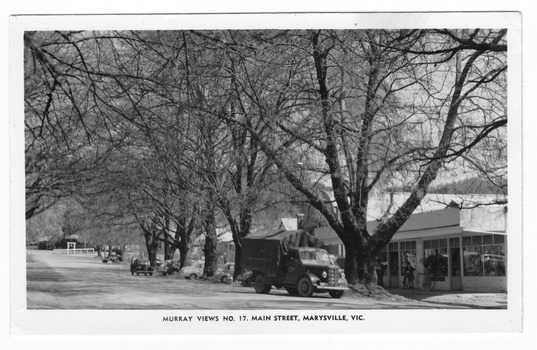 Shows Murchison Street in Marysville in Victoria. Shows the right hand side of the street which is tree lined. Shows a number of cars parked along the street with a truck in the foreground. The truck is parked outside a shop. The title of the photograph is along the lower edge of the postcard. On the reverse of the postcard is a hand written message.