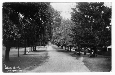 Shows the tree-lined main road in Marysville, Victoria. On the right-hand side of the photograph you can see two ladies sitting on a seat under a tree in front of Thomas Barton's house, 'The Chestnuts'. In front of the ladies is a motorbike with a sidecar. There are also three boys standing under a tree near the entrance to the house. The title of the postcard is handwritten in white ink on the lower left-hand edge. On the reverse of the postcard is a space to write a message and an address and to place a postage stamp. The postcard is unused.