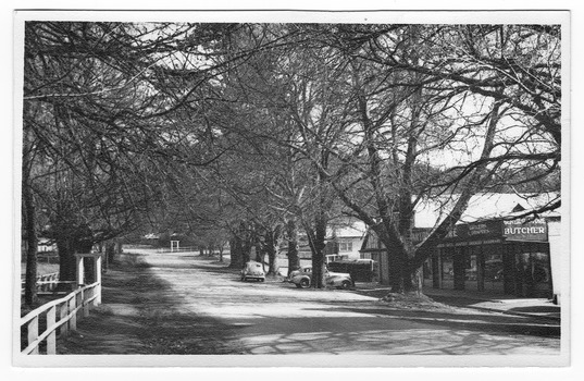 Shows the main street in Marysville in Victoria. Shows an unsealed road with shops along the right hand side, one of which is a butcher. There are several cars parked on the edge of the road facing the buildings. The left hand side of the road is lined by wooden fences. Both sides of the road are heavily treed.