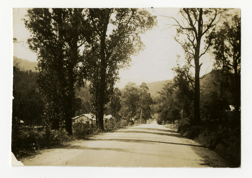 Shows Murchison Street in Marysville in Victoria. Shows a dirt road leading through forest. In the left of the photograph there is a building.