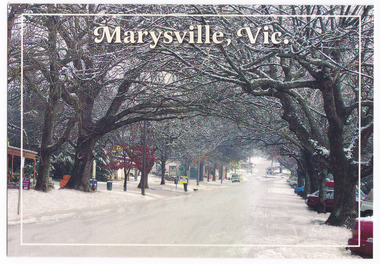 Shows a snow covered Murchison Street in Marysville in Victoria. The photograph shows the famous oak trees which line Murchison Street dusted with snow. On the reverse of the postcard is a space to write a message and address and to place a postage stamp. The postcard is unused.