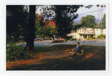 Shows the roundabout on the corner of Murchison and Lyelll Streets in Marysville in Victoria. On the right of the photograph are the Ski Hire shop and the Pizza shop. In the foreground of the photograph is a large tree with a bench with a lady sitting on it.