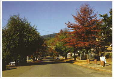 Shows Murchison Street in Marysville in Victoria. Shows the tree lined street with buildings long the right side. There are cars parked along both sides of the street. In the foreground in the right of the photograph is a sign with a lady standing in front of it.