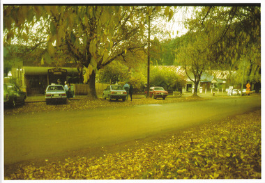 Shows Murchison Street in Marysville in Victoria. Shows a row of various buildings along the left hand side of the street with various vehicles parked outside the buildings. There are also people standing next to two of the vehicles.