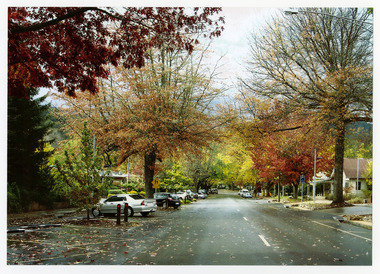 Shows Murchison Street in Marysville in Victoria. Shows the view looking down Murchison Street towards the corner with Pack Road. There are buildings and cars parked on both sides of the road. The photograph appears to have been taken after rain.