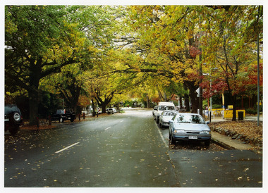 Shows Murchison Street in Marysville in Victoria. Shows the view looking down Murchison Street towards the corner with Pack Road. There are cars parked on both sides of the road and in the right of the photograph on the footpath are some chairs and tables for outdoor dining. The photograph appears to have been taken after rain.