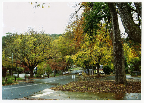 Shows Murchison Street in Marysville in Victoria. Shows the view looking down Murchison Street towards the corner with the Marysville-Buxton Road with the Christ Church in the background. The photograph appears to have been taken after rain.
