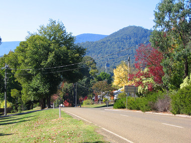 Shows Murchison Street in Marysville in Victoria. Shows the view looking down Murchison Street to the corner of Murchison and Lyell Streets. In the right of the photograph there are buildings. There are several large trees in the photograph and there are mountains in the background.