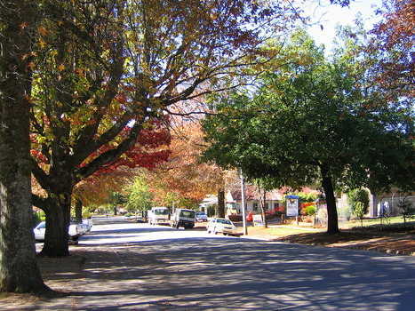 Shows the view looking down Murchison Street in Marysville in Victoria. In the right of the photograph can be seen the signs for the Tower Motel. Further down are more buildings. There are cars parked on either side of the road.