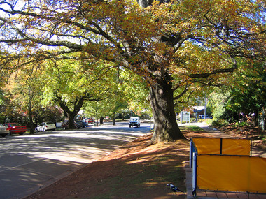 Shows the view looking down Murchison Street in Marysville in Victoria. Shows the view looking down the street towards the corner with Pack Road.