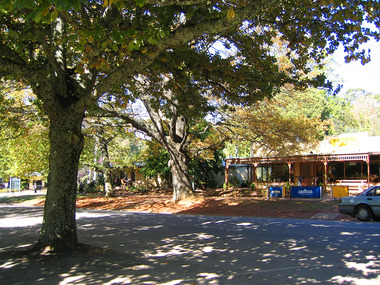 Shows Fraga's Cafe in Murchison Street in Marysville in Victoria. Looking further down the street you can see the Marysville Bakery on the corner with Pack Road.