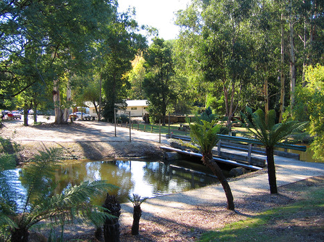 Shows Darmody's Lake in Marysville in Victoria. 