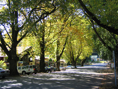 Shows the view looking down Murchison Street in Marysville in Victoria. In the left of the photograph are a series of shops with cars parked outside of them. In the distance is the F.J. Barton Bridge and the Christ Church.