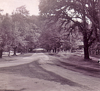 Shows Murchison Street in Marysville in Victoria.
