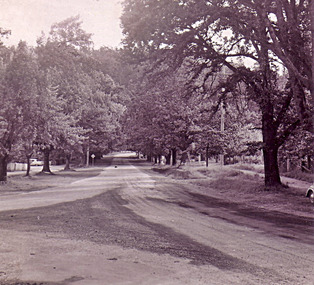 Shows Murchison Street in Marysville in Victoria.
