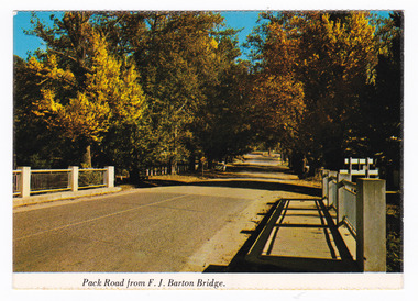 Shows the F.J. Barton Bridge looking up Murchison Street. Shows the heavily treelined street leading through the town. On the reverse of the postcard is a hand written message in blue ink.