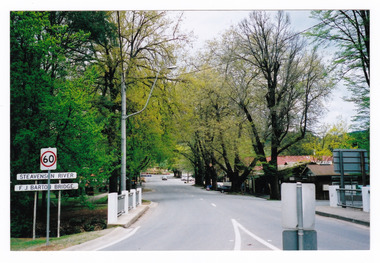 Shows the F.J. Barton Bridge that crosses the Steavenson River in Marysville in Victoria. In the background is a row of shops.