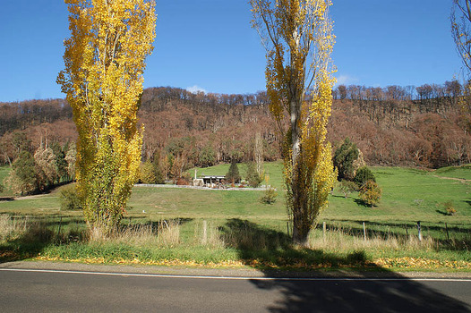 Shows a house surrounded by trees and a white fence. Behind the house is a heavily forested range of hills.