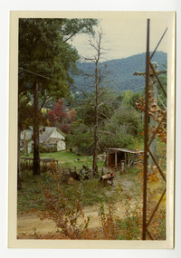 Shows a dirt track leading past a house which has a small wooden shack in its front garden. In the background is a heavily forested mountain.