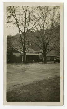 Shows Bartons Bros Store in Marysville in Victoria. Outside the store is a saddled horse and an early model car. In front of the store are two large trees.