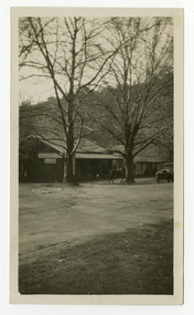 Shows Bartons Bros Store in Marysville in Victoria. Outside the store is a saddled horse and an early model car. In front of the store are two large trees.