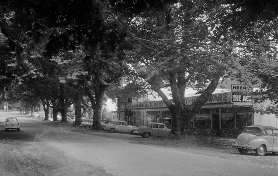 Shows the front of the Barton Bros' Store in the main street in Marysville in Victoria. There are several cars parked in the front of the store and across the road.