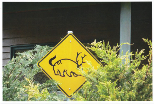 Shows a yellow sign with the mythical "Gunni" printed in black on it.