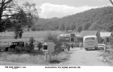 Shows the driveway leading to the buildings housing the Marguerita Tea Rooms in Buxton in Victoria. Shows the letterbox at the start of the driveway. Shows several cars parked outside the buildings with people walking around.