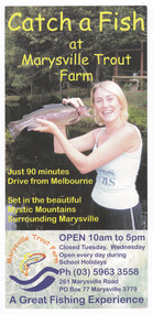 Shows an advertising brochure for the Marysville Trout Farm in Victoria. Shows a lady holding a trout. Shows the opening hours, the telephone number and the address of the trout farm. Shows what activities and facilities are available at the trout farm. Shows the costs involved with a small map showing the location.