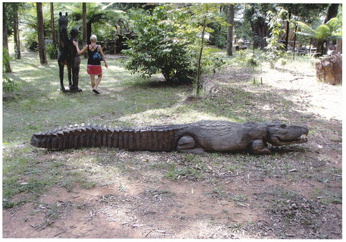 Shows a chainsaw sulpture of a large crocodile. In the background is a sculpture of a race horse with its rider and there is a lady standing next to it.