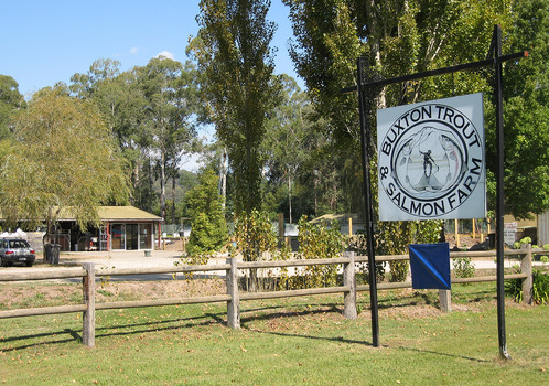 Shows the sign out the front of the Buxton Trout & Salmon Farm. Shows a building with a carpark surrounded by a wooden fence.