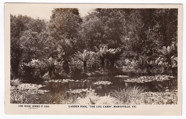 Shows a small ornamental lake with water lilies floating on the surface. In the background is a number of tree ferns behind which it is heavily forested.