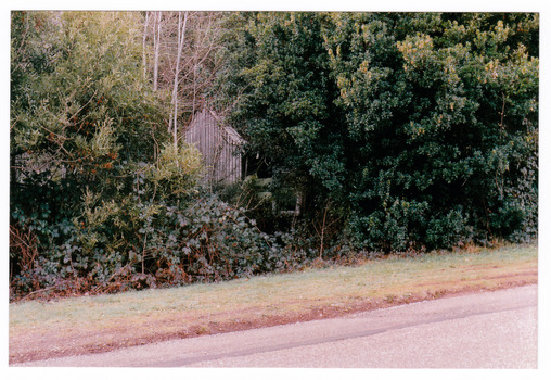 Shows a timber worker's cottage surrounded by forest.