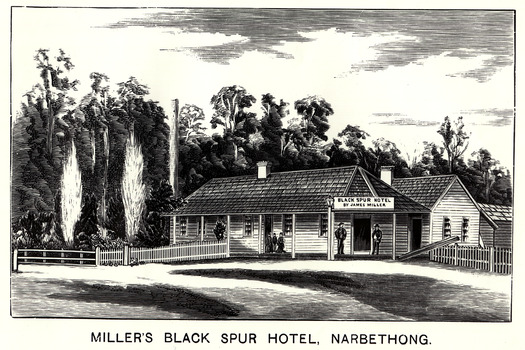 Shows a copy of a black and white etching of the Black Spur Hotel at Narbethong. Shows a weatherboard building with a verandah running the length of the front facade. There are three ladies standing next to the front door with two men standing at the end of the verandah under the hotel's sign.