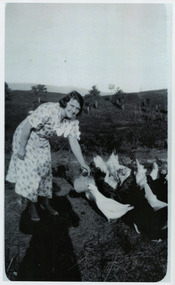 Shows a member of the Branchflower Family in Marysville in Victoria. Shows a woman holding a jug feeding a flock of ducks. Shows a rooster looking on.