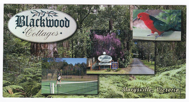 Shows a colour postcard from Blackwood Cottages in Marysville. Front shows photographs of a king parrot, the entry to Blackwood Cottages and the tennis court at the cottages. Also shows a photograph of the bushland near Marysville. Reverse shows a hand written message and address along with a 50c Australian postage stamp.
