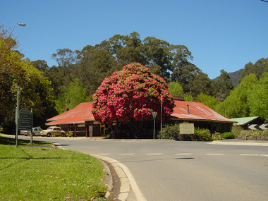 A digital copy of a colour photograph of The Crossways in Marysville.