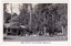 A black and white postcard of the Fruit Salad Farm in Marysville that was produced by Murray Views as a souvenir of Marysville.