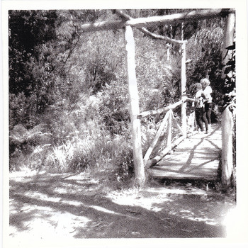 A black and white photograph of the wooden bridge at the Fruit Salad Farm in Marysville.