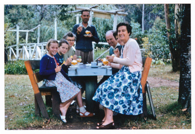 A colour photograph taken at the Fruit Salad Farm in Marysville in January 1961.